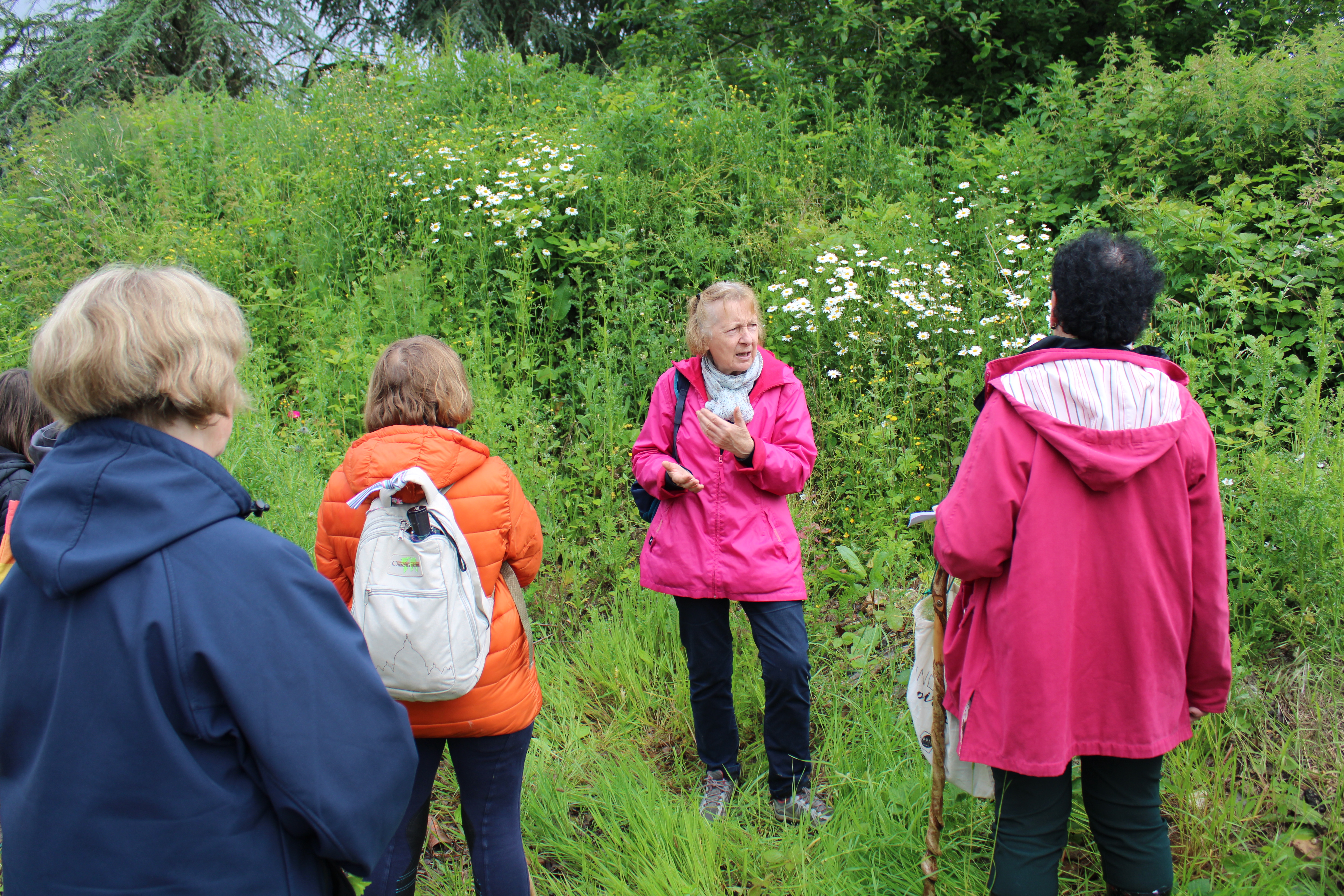 Sortie nature avec Plantes et Fruits Brayons