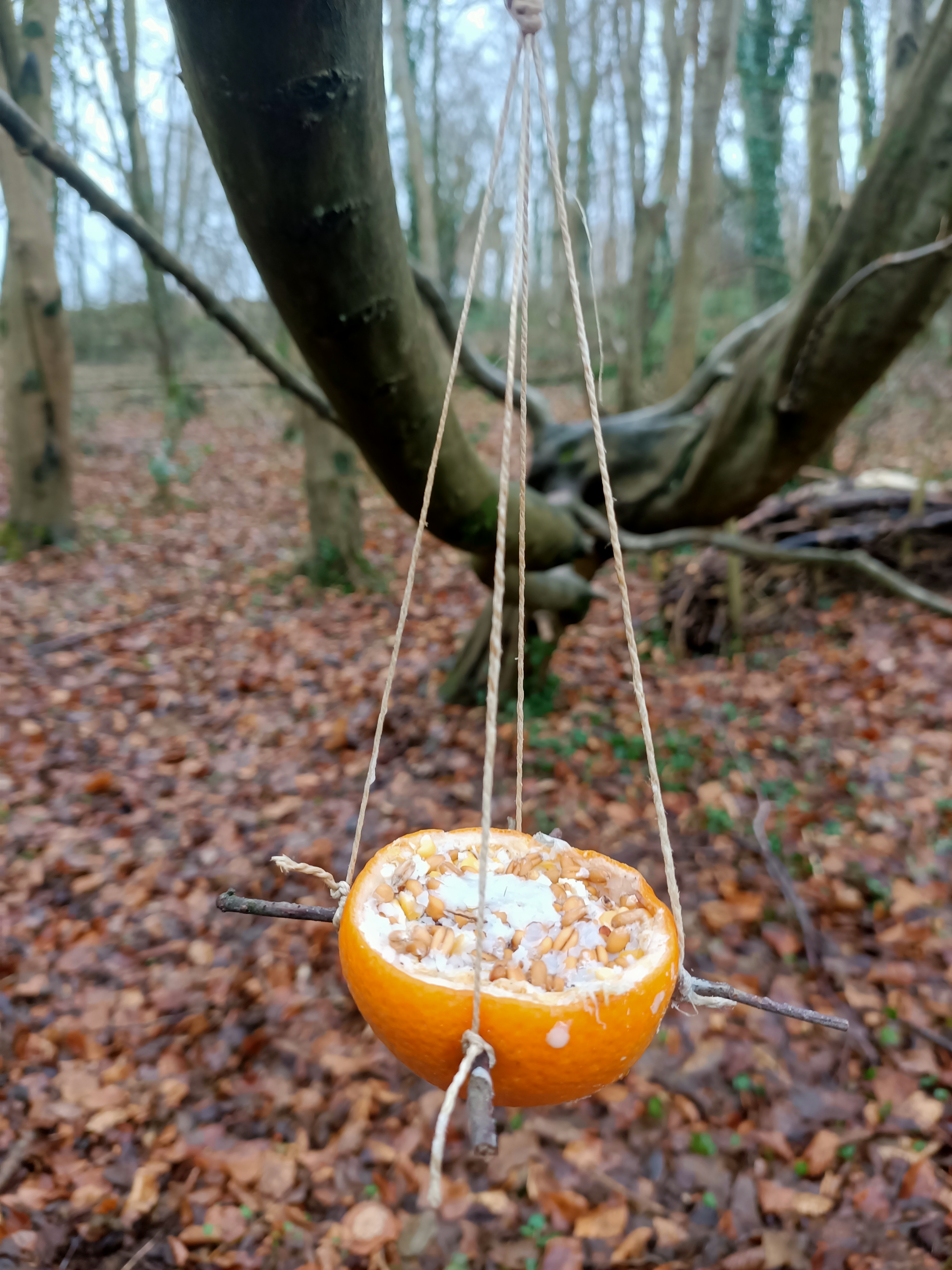 Mangeoires d’hiver