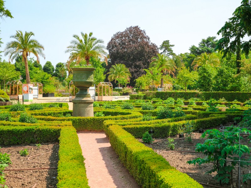 Jardin des Plantes (Rouen) |