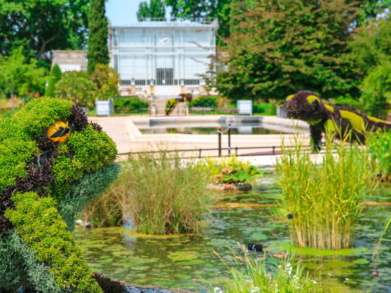 Jardin des Plantes (Rouen) |