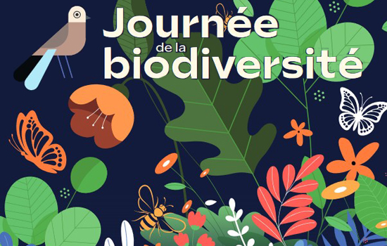 Journée de la biodiversité - ©Ville du Havre