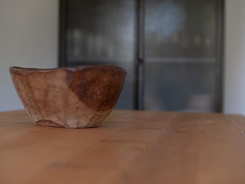 L'Armillaire 15 © laetitiaaudrezet800x600