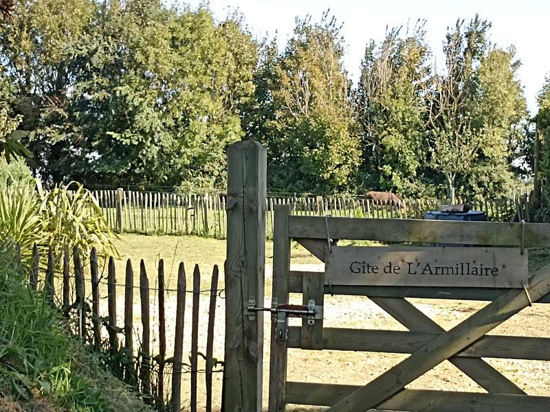 L'Armillaire 23 © laetitiaaudrezet800x600