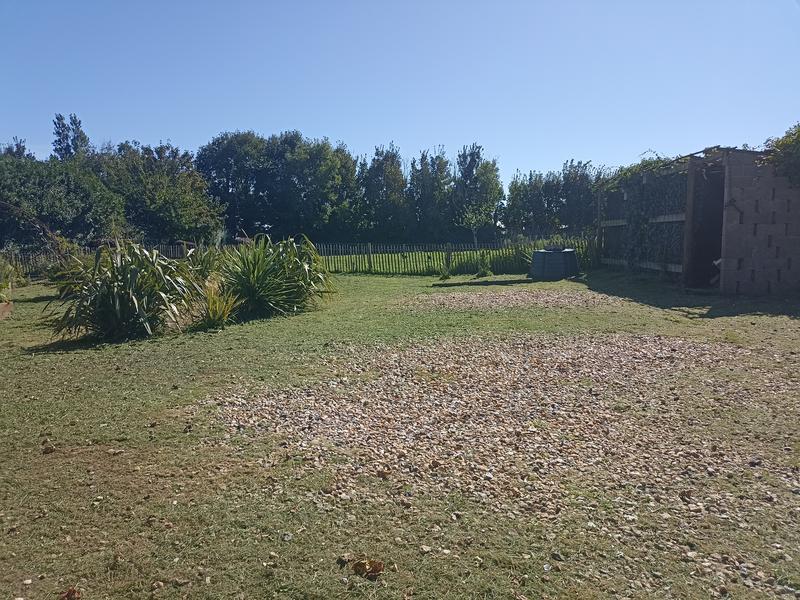 L'Armillaire 25 © laetitiaaudrezet800x600