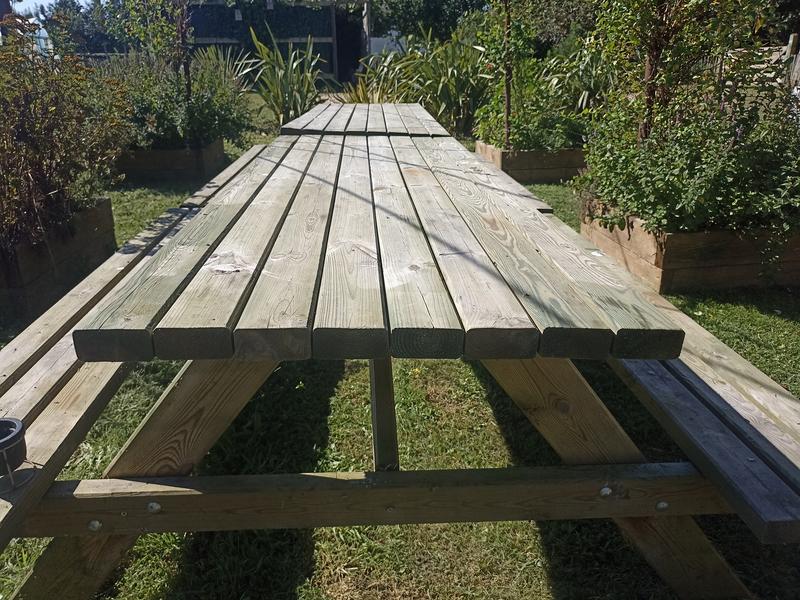 L'Armillaire 26© laetitiaaudrezet800x600