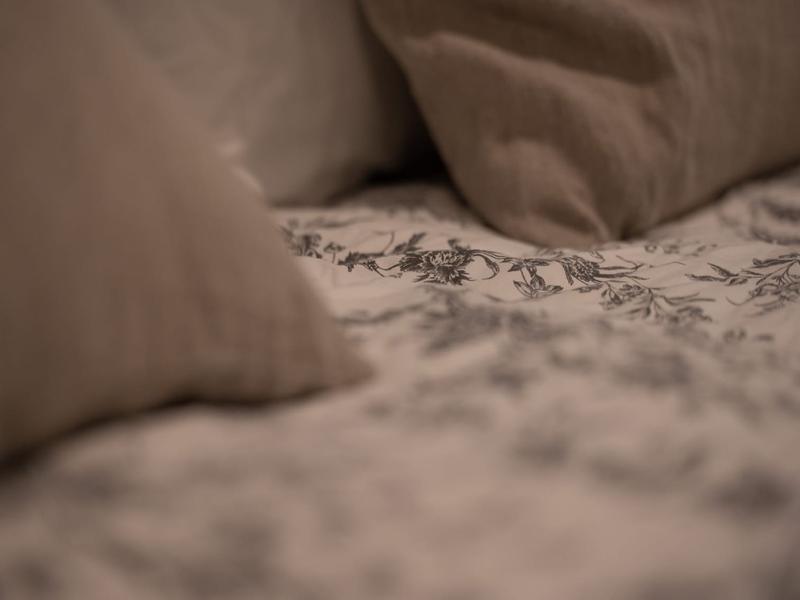 L'Armillaire 7 © laetitiaaudrezet800x600