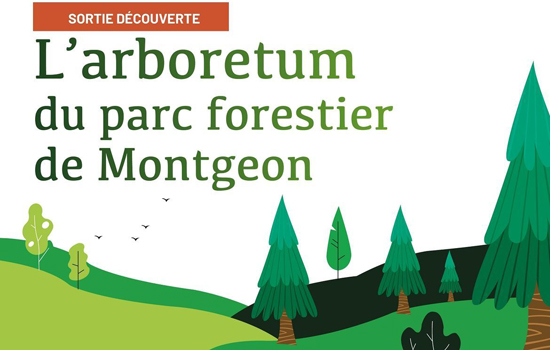 Sortie découverte : L'arboretum du parc forestier de Montgeon