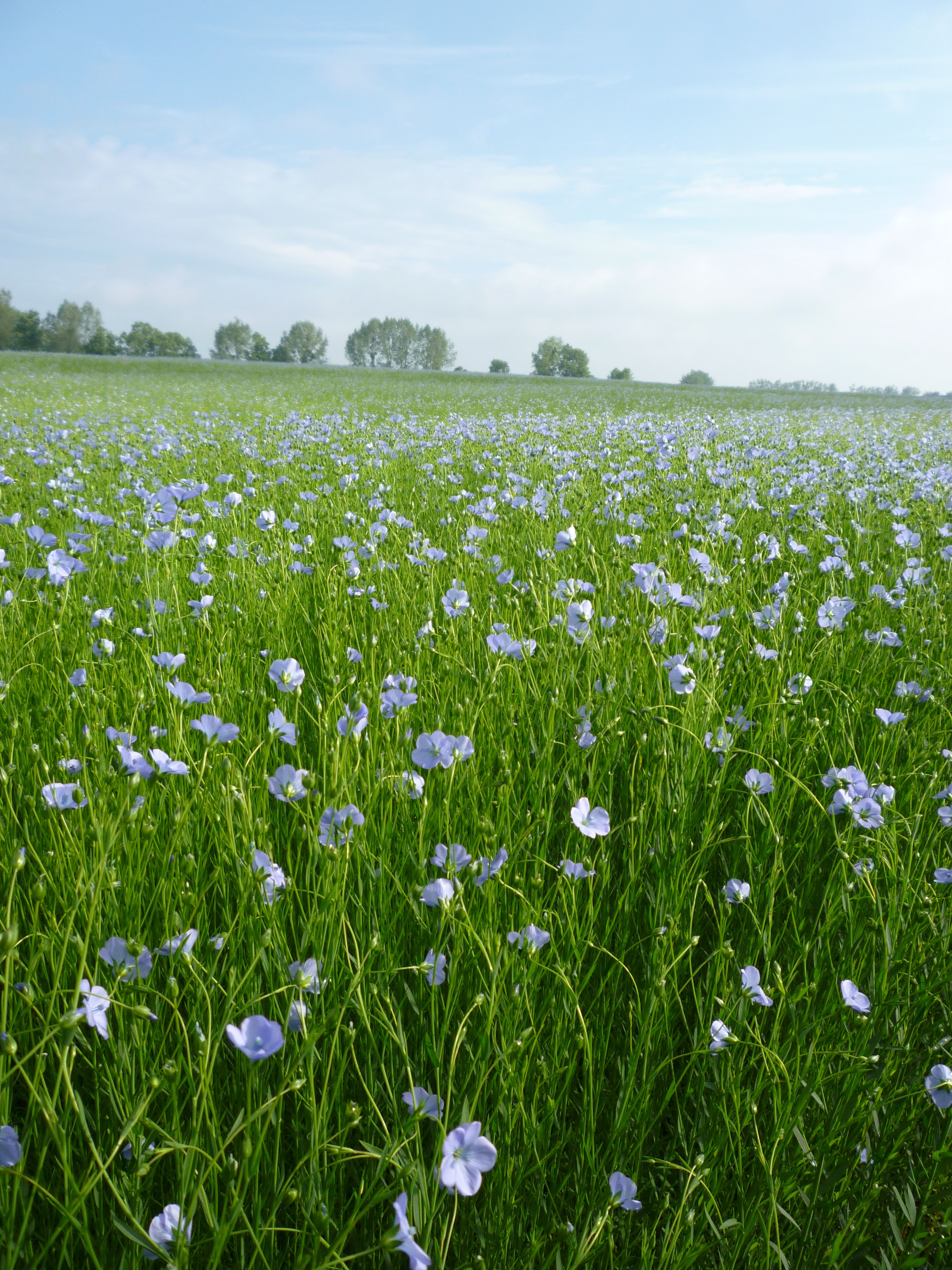 Image principale illustrant l'événement