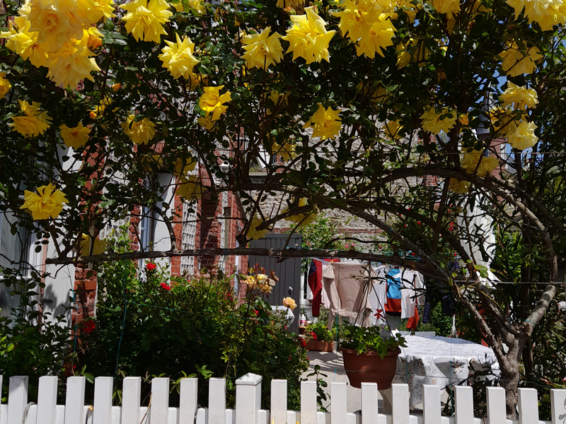 La Minouchette - Jardin - ©Mme Bidaux (1)