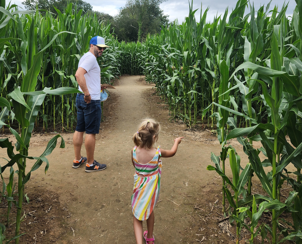 Labyrinthe de Honfleur