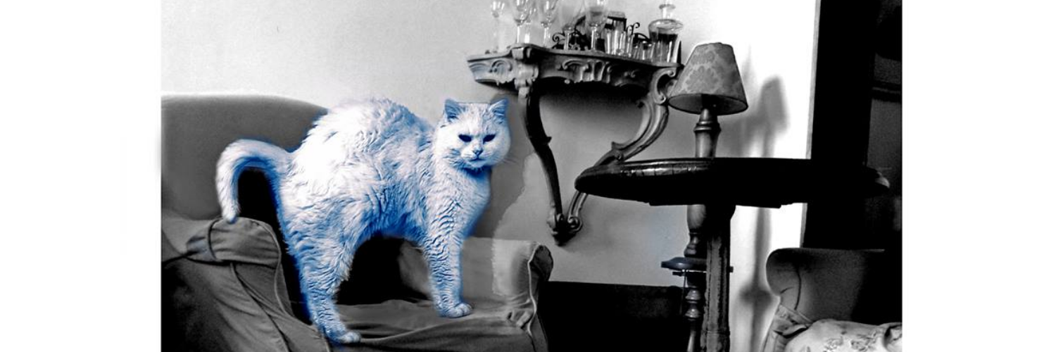 Le Chat Bleu Seine Maritime La Normandie Impressionnante