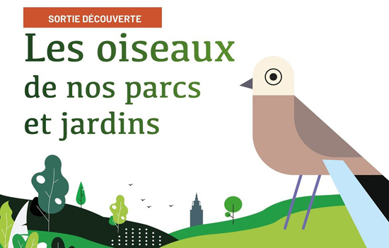 Sortie découverte : Les oiseaux de nos parcs et jardins