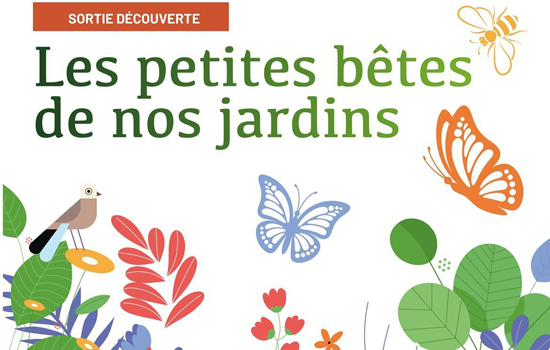 Sortie découverte : Les petites bêtes de nos jardins
