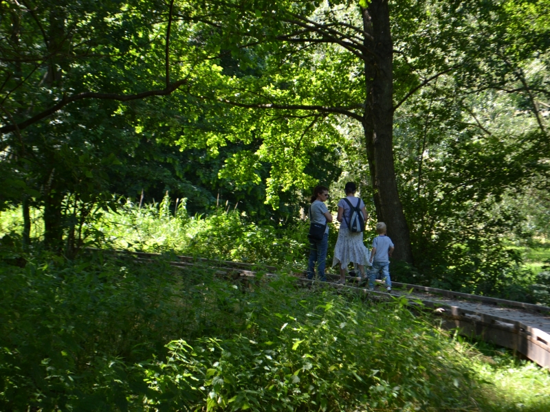 Le Marais des Communaux - photo 6