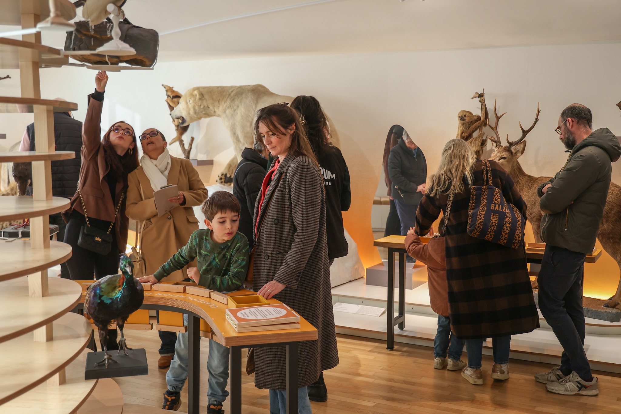 Muséum d'histoire naturelle du Havre