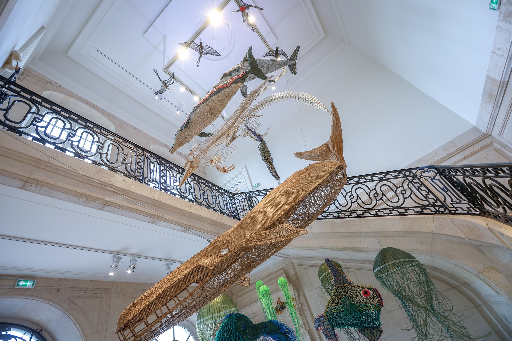 Muséum d'histoire naturelle du Havre