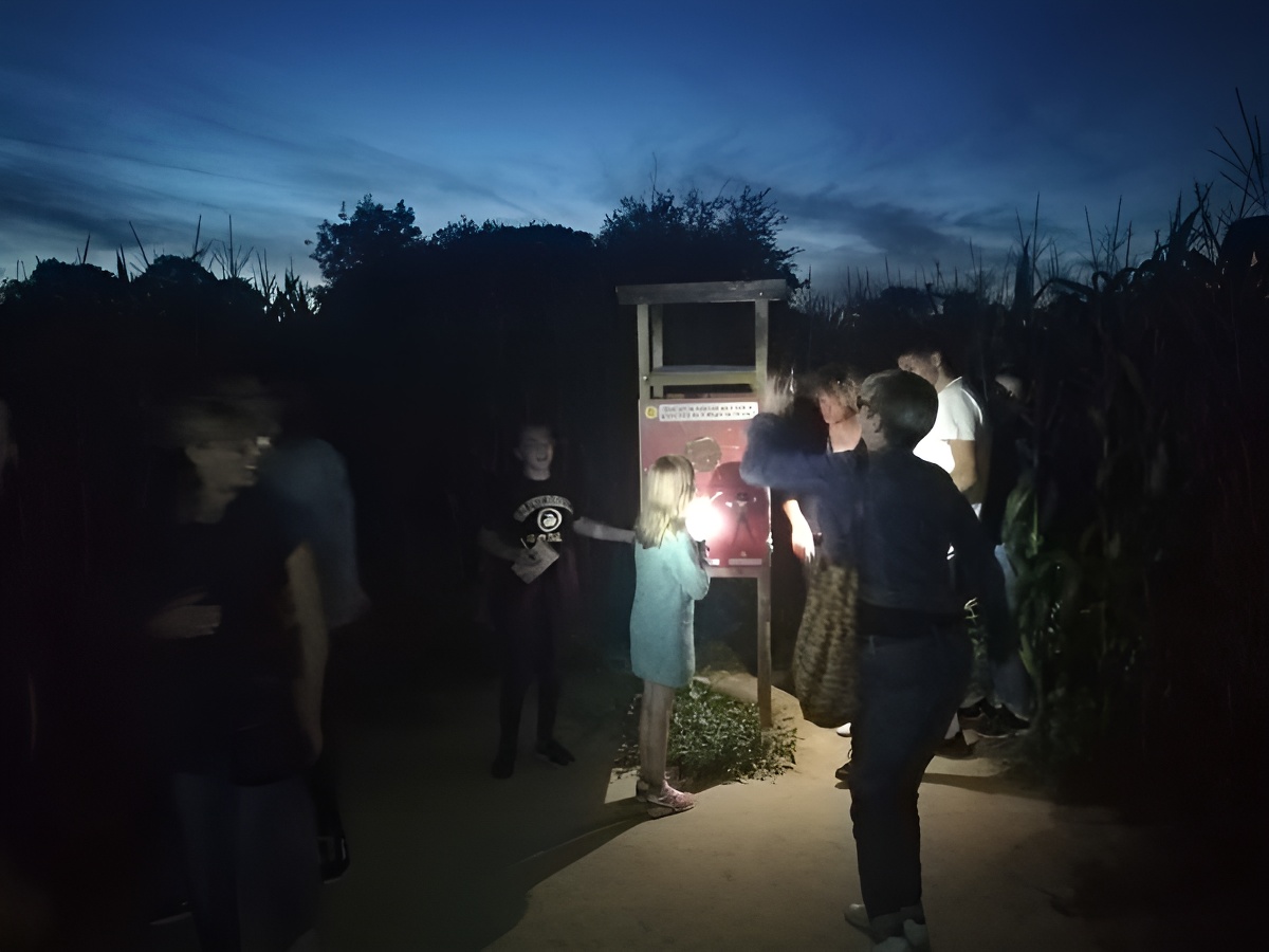 NOCTURNE 2019 LABYRINTHE DE HONFLEUR©Asso Labyrinthes de Normandie