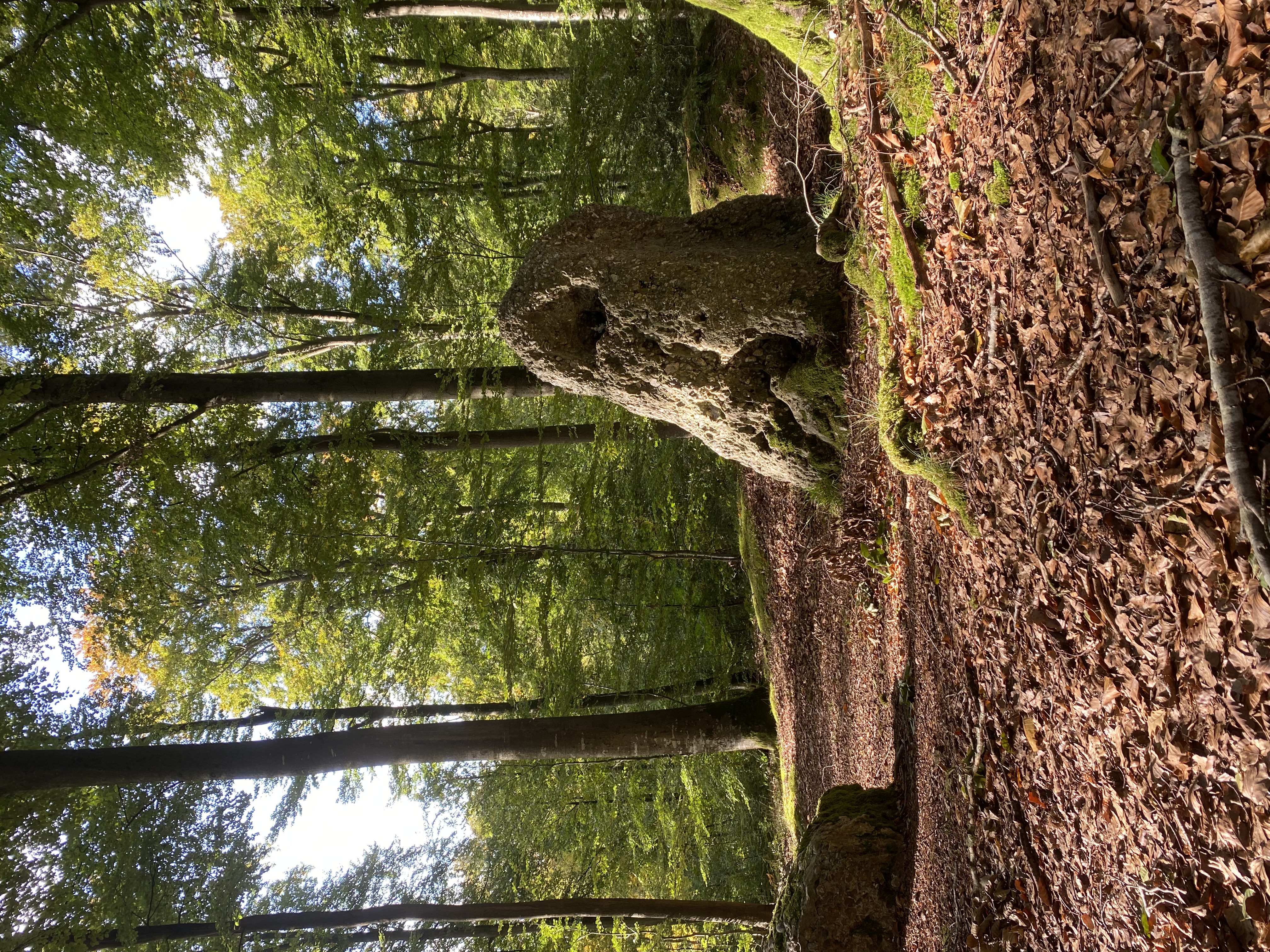 La Pierre qui Tourne - photo 2
