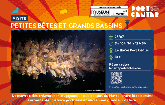 Visite guidée : Petites bêtes et grands bassins