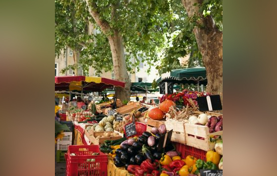 Atelier : Cuisine spéciale produits locaux
