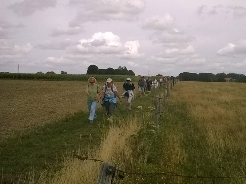 MARCHE NORDIQUE / UT LES AMIS DE LA NATURE, LE HAVRE