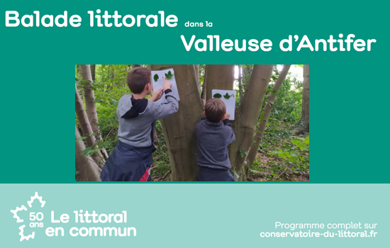 Rallye des familles - Balade littorale dans la Valleuse d'Antifer