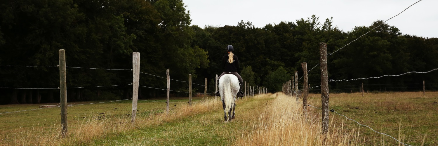 Des Glycines à la Porte Noire à cheval