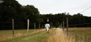 Des Glycines à la Porte Noire à cheval