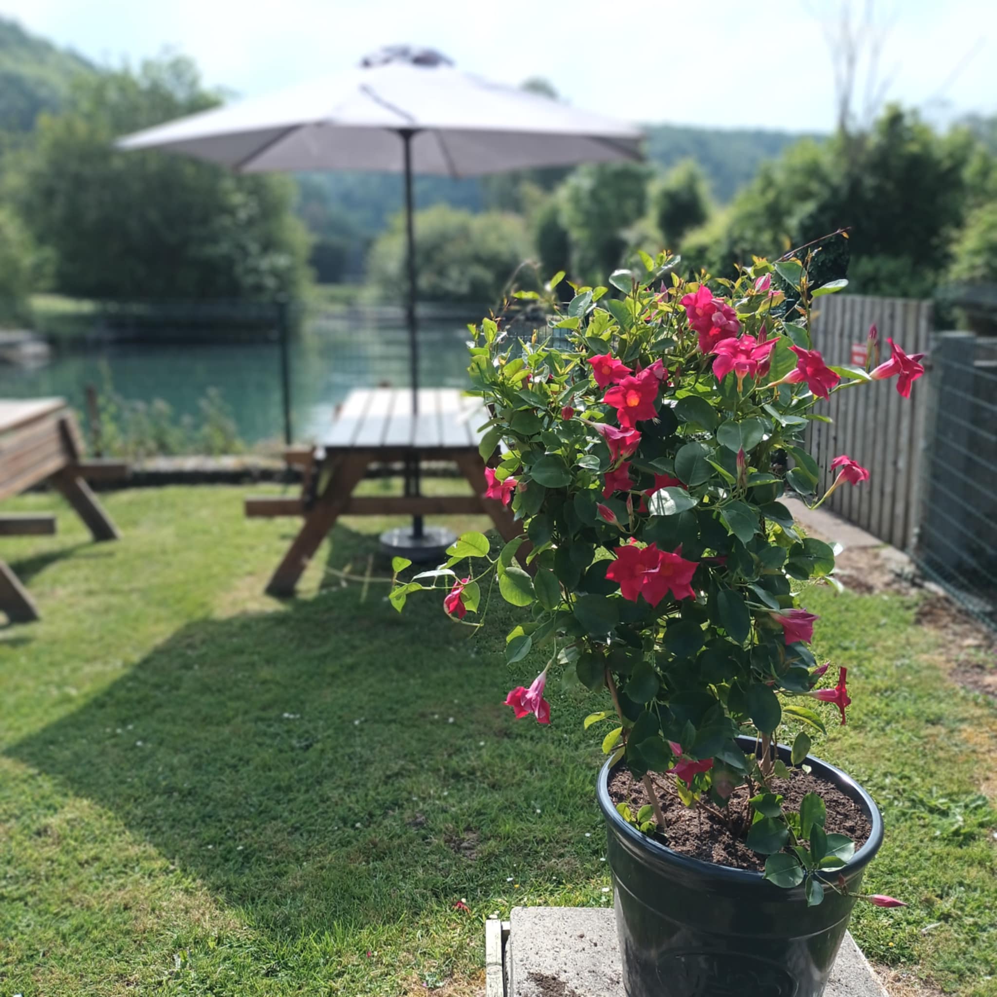 Restaurant L'Eau Vive (9)