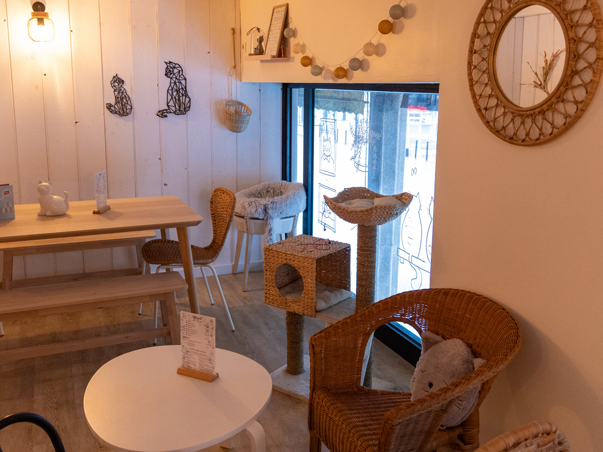 Salon des P'tea Chats ©Lorie Jumeline (1)