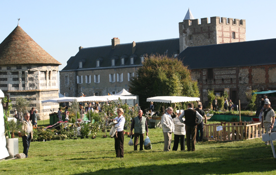 Plantes en fête 2024