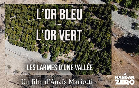 L'or bleu - l'or vert, les larmes d'une vallée