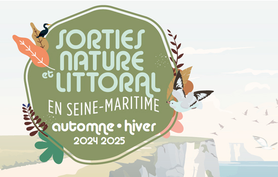 Sorties nature et littoral - Automne-hiver 2024-2025