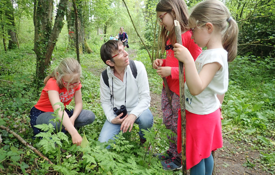 Sortie nature - enfants