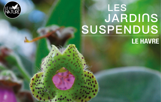 Jardins Suspendus 2025