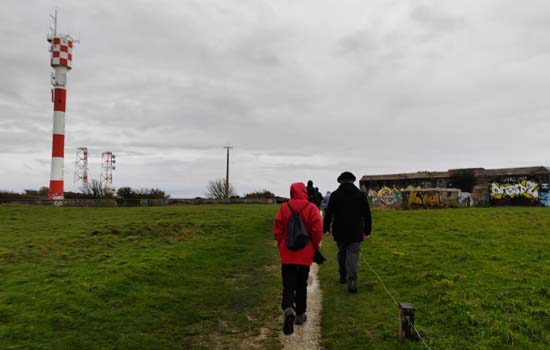 Sortie nature : Plateau de Dollemard - Cap de La Hève