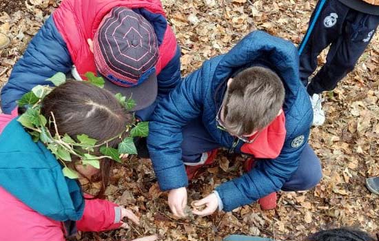 Sortie nature : Arboretum de Rouelles