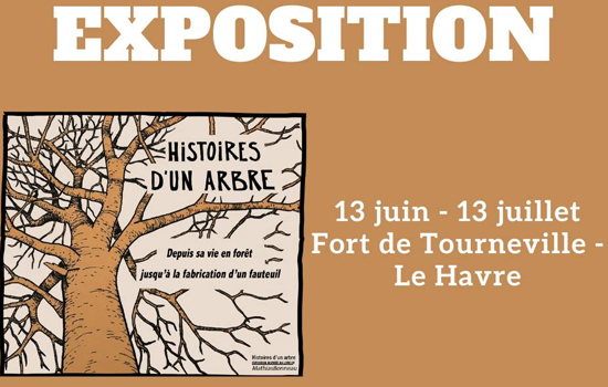 Exposition : Histoire d'un arbre - Depuis sa vie en forêt jusqu’à la fabrication d’un fauteuil