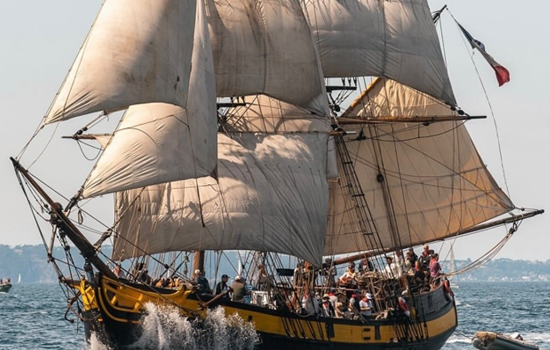 Les Grandes Voiles Du Havre : Vivez l’arrivée des Grands Voiliers 