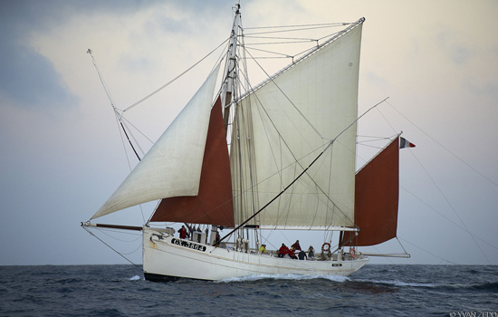 Les Grandes Voiles Du Havre : Vivez l’arrivée des Grands Voiliers 