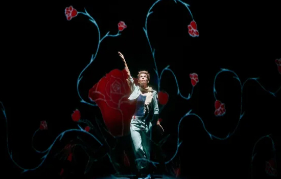 Théâtre : Le Petit Prince