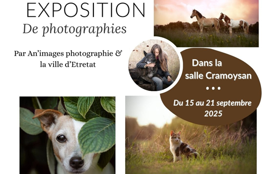 Exposition - photographie animalière