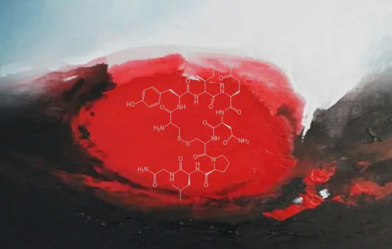 Conférence : À l’ombre d’Eros : chimie de l’amour ?