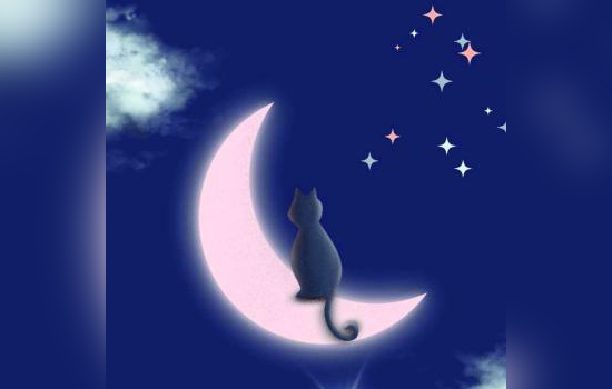 Nuit