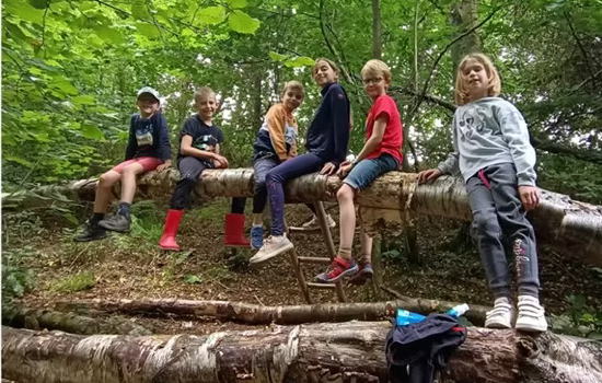 Stage nature : L'Appel de la Forêt