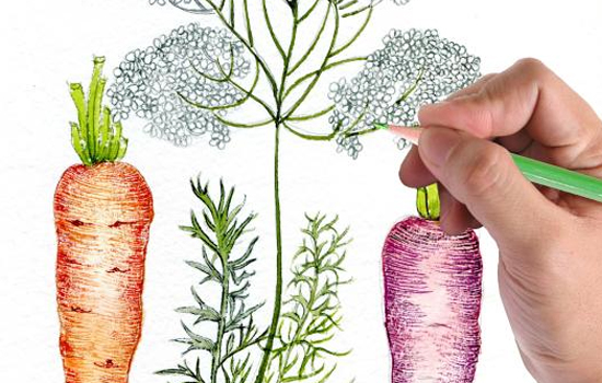 Atelier : Illustration d'automne