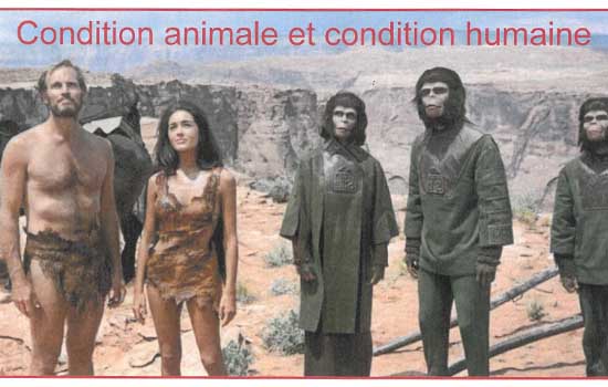 Sans titre-1