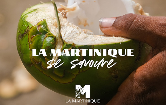 Conférence : La Martinique, terre de développement de filières d'excellence