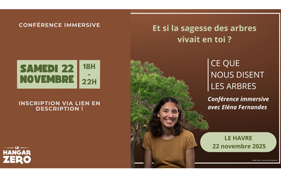 Conférence immersive avec Elena Fernandes : Ce que nous disent les