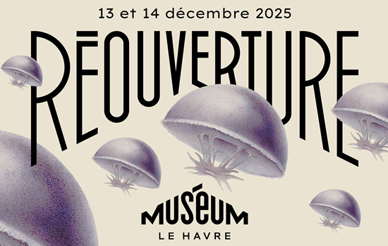 Réouverture du Musuém